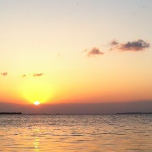 Meet your Posher, Simone